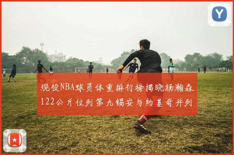 现役NBA球员体重排行榜揭晓杨瀚森122公斤位列第九锡安与约基奇并列第三